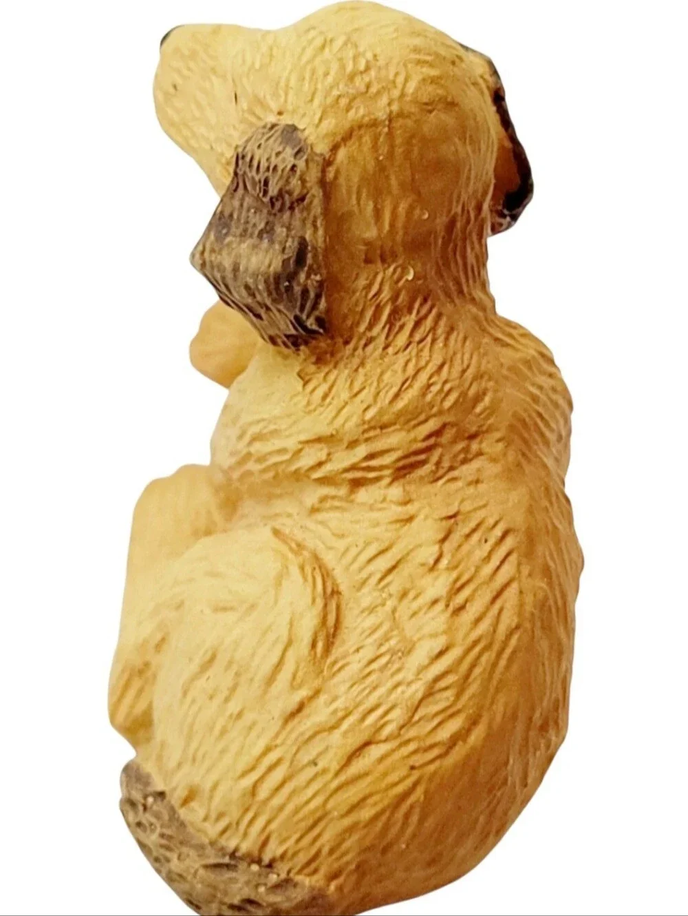 Spaniel Retriever 1